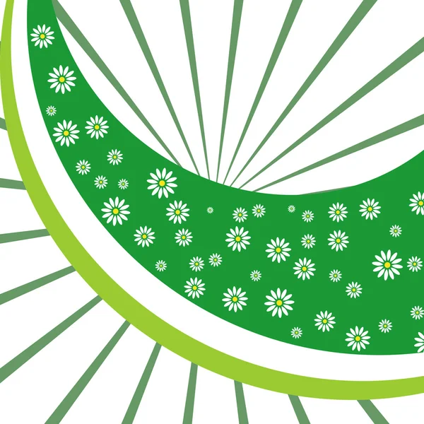 Cammomiles と緑の花の背景. — ストックベクタ
