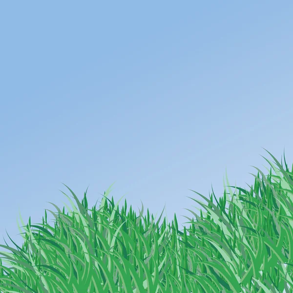 草と空 — ストックベクタ