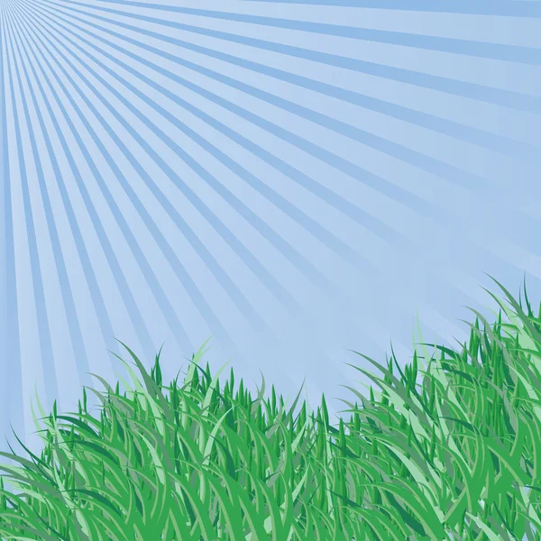 Ciel printanier et herbe — Image vectorielle