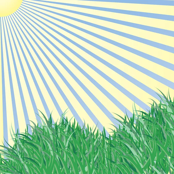 Herbe d'été — Image vectorielle