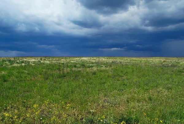 Meadow — Fotografie, imagine de stoc
