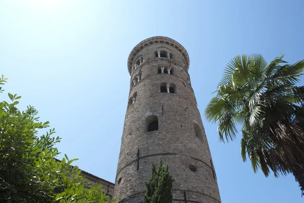 Palma a bell tower v Ravenně. Itálie — Stock fotografie