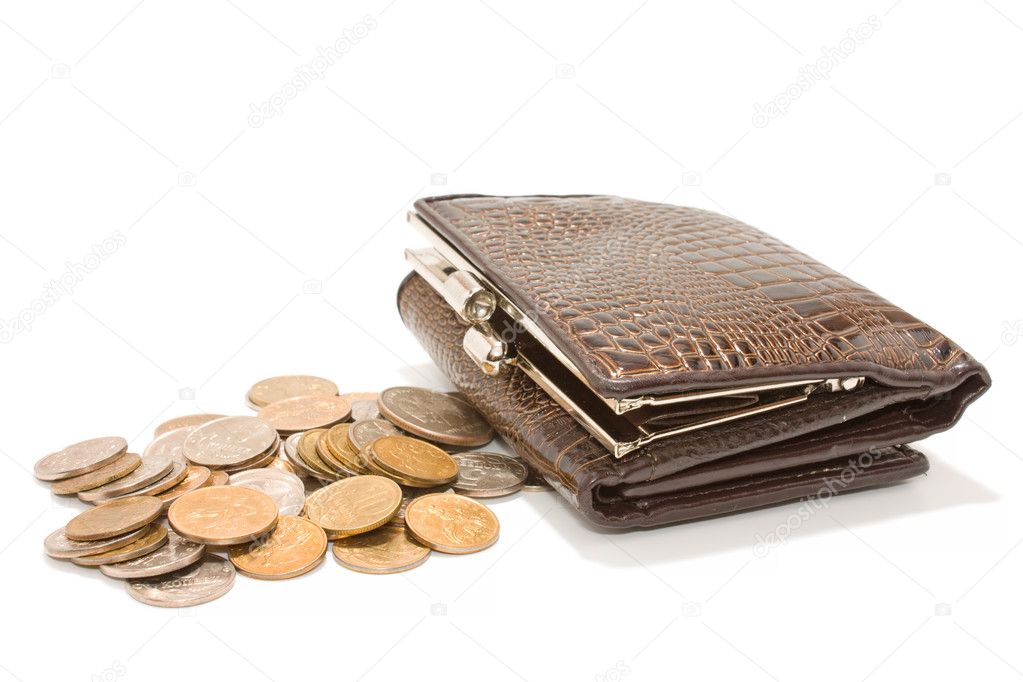 Purse with money