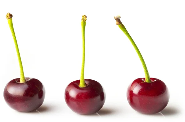 Три вишни — стоковое фото