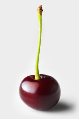 Cherry xxl plus (extra large) clipart