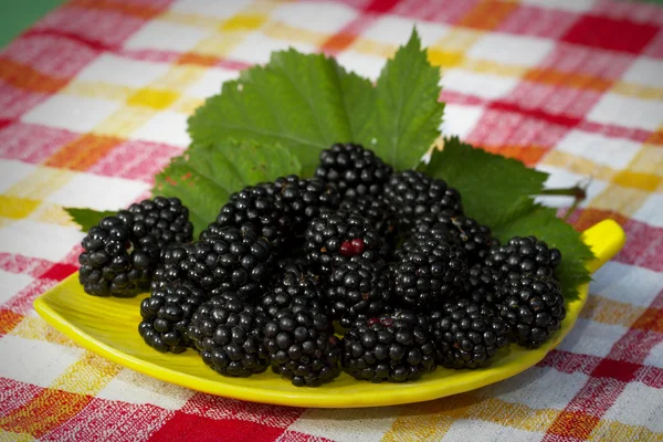 Plate of blackberries — Stock Photo, Image