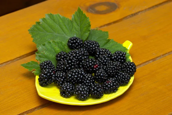 Plate of blackberries — Stock Photo, Image