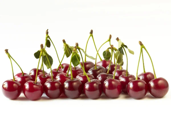 Cherry rad — Stockfoto
