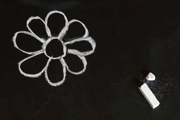 Chalk flower — Stock Photo, Image
