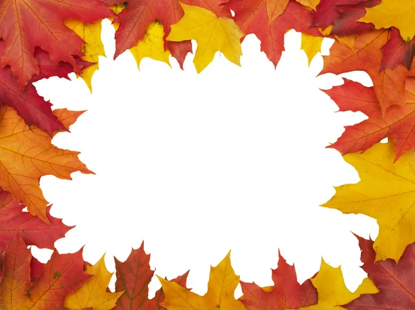 stock image Autumn leafs frame (clipping path isolat