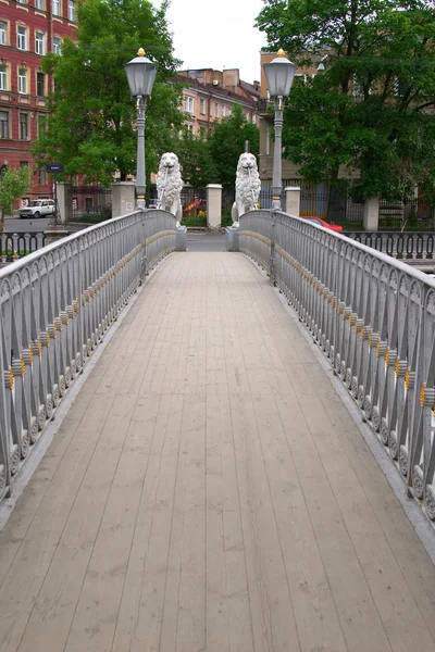 St. petersburg - köprü — Stok fotoğraf