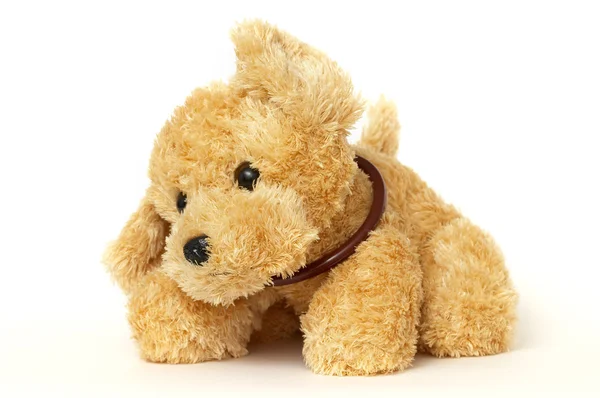 Puppy toy — Stock Photo, Image