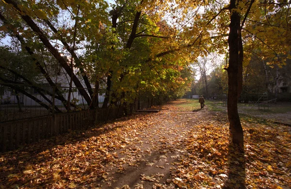 秋天在城里 — 图库照片