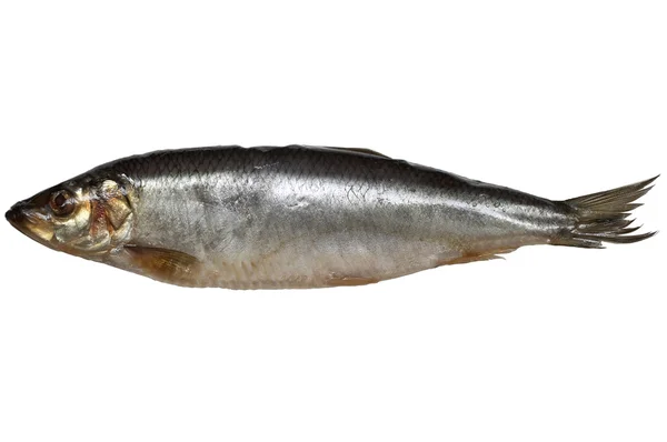 盐渍的鲱鱼 — 图库照片