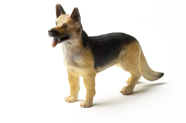 Elzasser speelgoed hond — Stockfoto