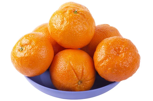 Citrus plate — Stock Photo, Image