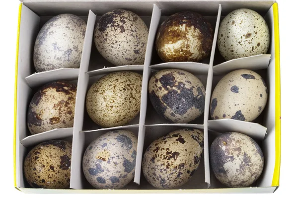 Paquete de huevos de codorniz — Foto de Stock