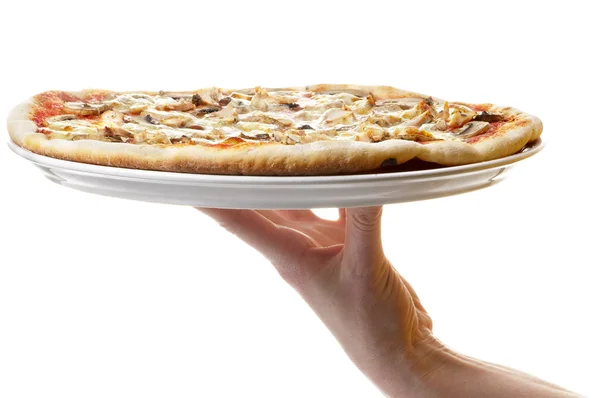 Вся піци — стокове фото
