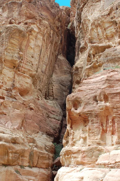 Petra与卡通鱼在蓝色背景上的无缝模式 — Stok fotoğraf