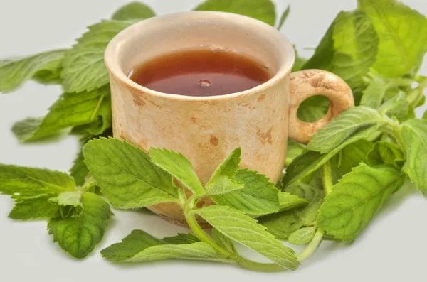 Cup of tea useful to health — Stock Photo, Image