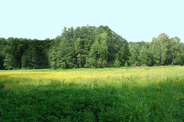 Lente landschap - groene velden en blauw — Stockfoto