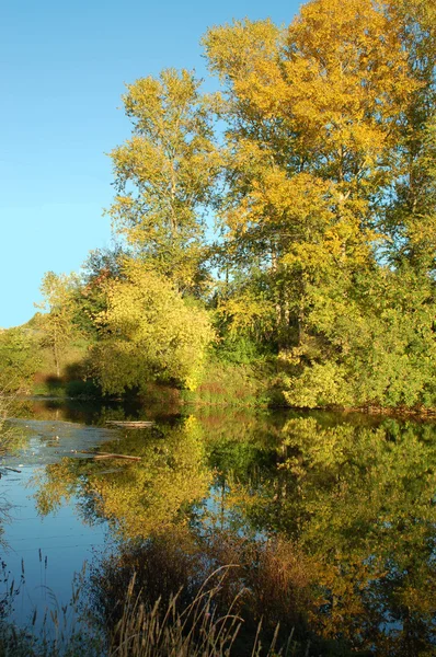 Stock image Autumn