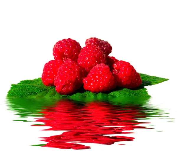 Raspberries in water — Stock Photo, Image
