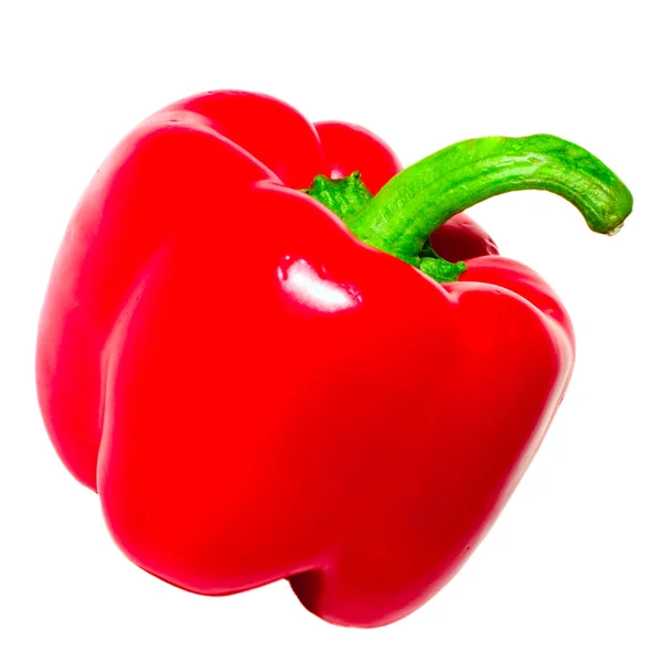 Paprika rouge isolé sur blanc — Photo