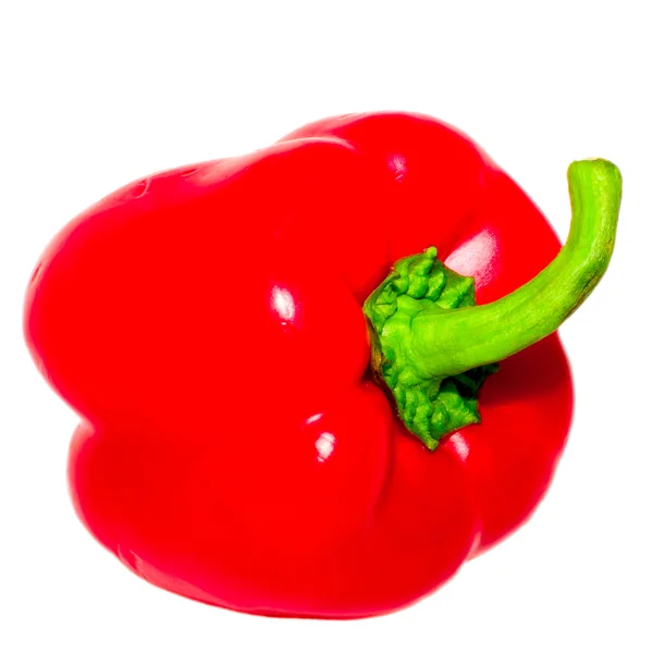 Elszigetelt fehér piros paprika — Stock Fotó