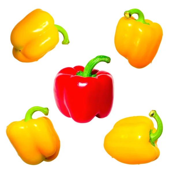 Gelber und roter Paprika isoliert — Stockfoto