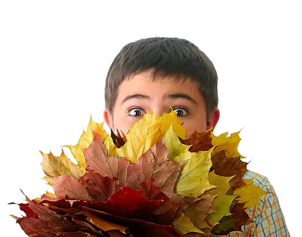 Niño con hojas de otoño —  Fotos de Stock