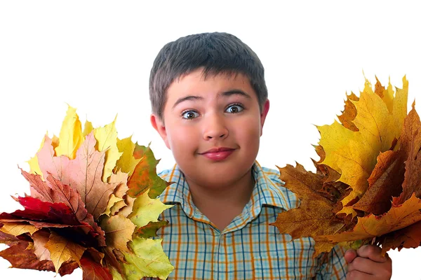 Αγόρι με φύλλα του φθινοπώρου — Φωτογραφία Αρχείου