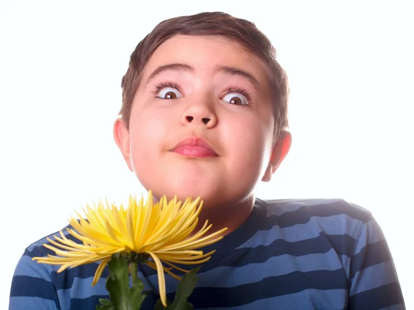 Мальчик и цветок — стоковое фото