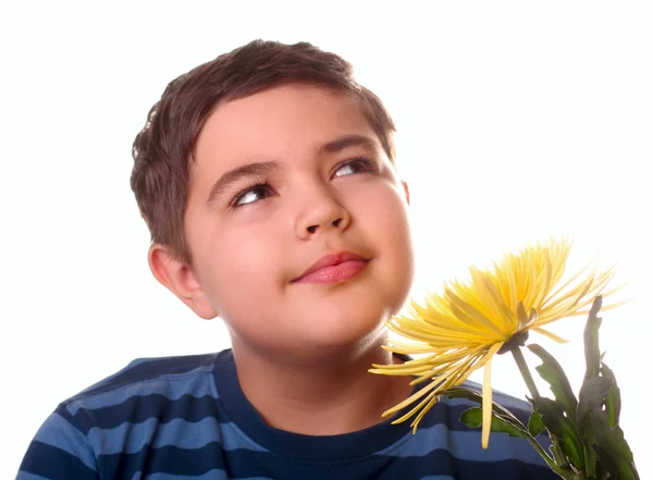 Хлопчик і квітка — стокове фото