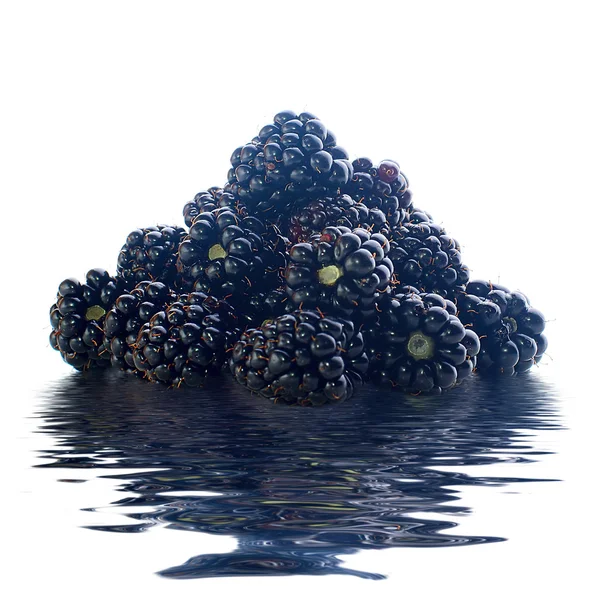 水の上のブラックベリー ストック画像