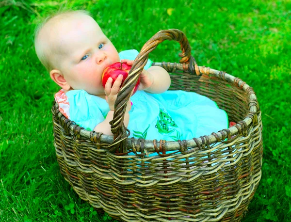 Baby flicka i korg äta äpple Stockbild