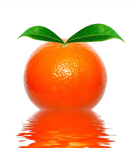 Tangerine in water — стокове фото