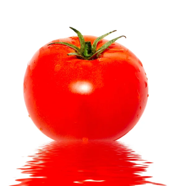 在水中的番茄 — 图库照片