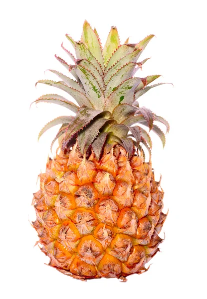Mogen ananas isolerad på vatten — Stockfoto