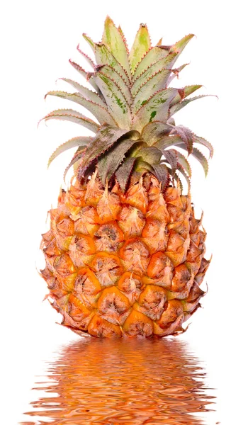 Rijp ananas geïsoleerd op water — Stockfoto