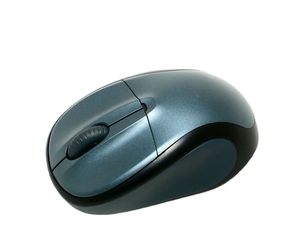 stock image Computer mouse