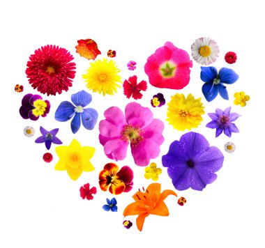 Heart from flowers clipart