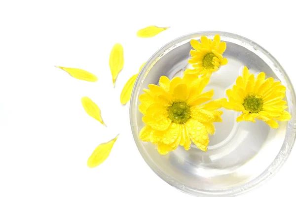 Yellow flowers in water and petals — Stock Photo, Image