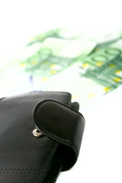 Leather purse and euro — Stock Photo, Image