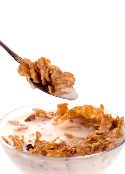 Cornflakes with milk in a bowl — Stock Photo, Image