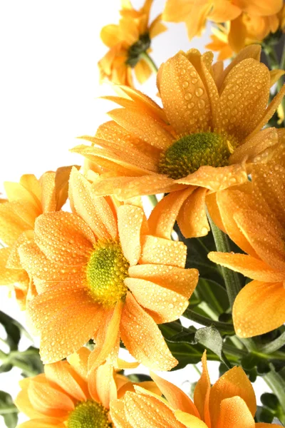 Boquet των λουλουδιών πορτοκαλί — Φωτογραφία Αρχείου