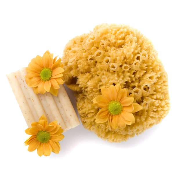 Natural sponge, soap and flowers — Stock Photo, Image