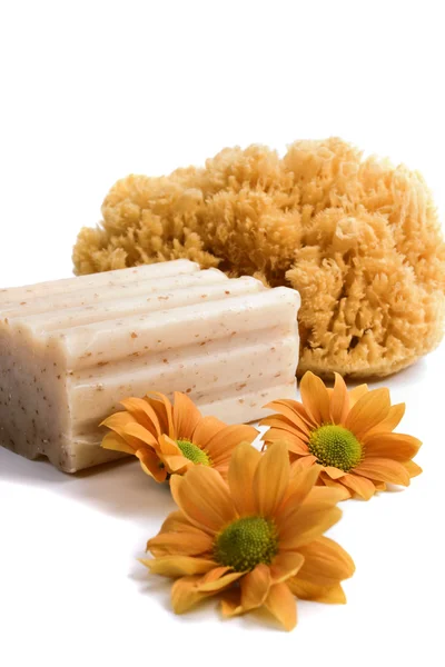 Natural sponge, soap and flowers — Stock Photo, Image