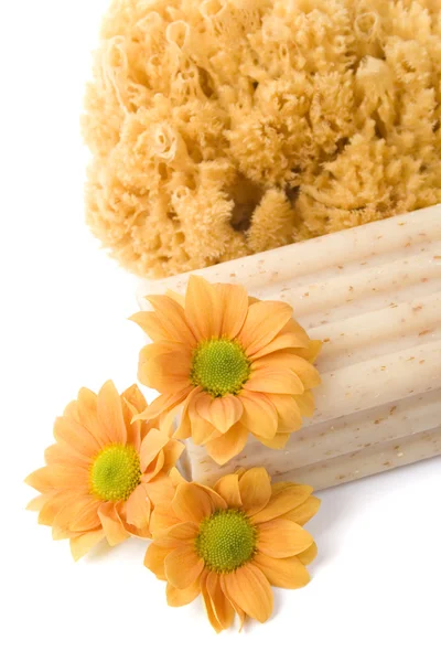 Natuurlijke spons, zeep en bloemen — Stockfoto