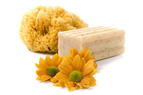 Stock image Natural sponge, soap and flowers